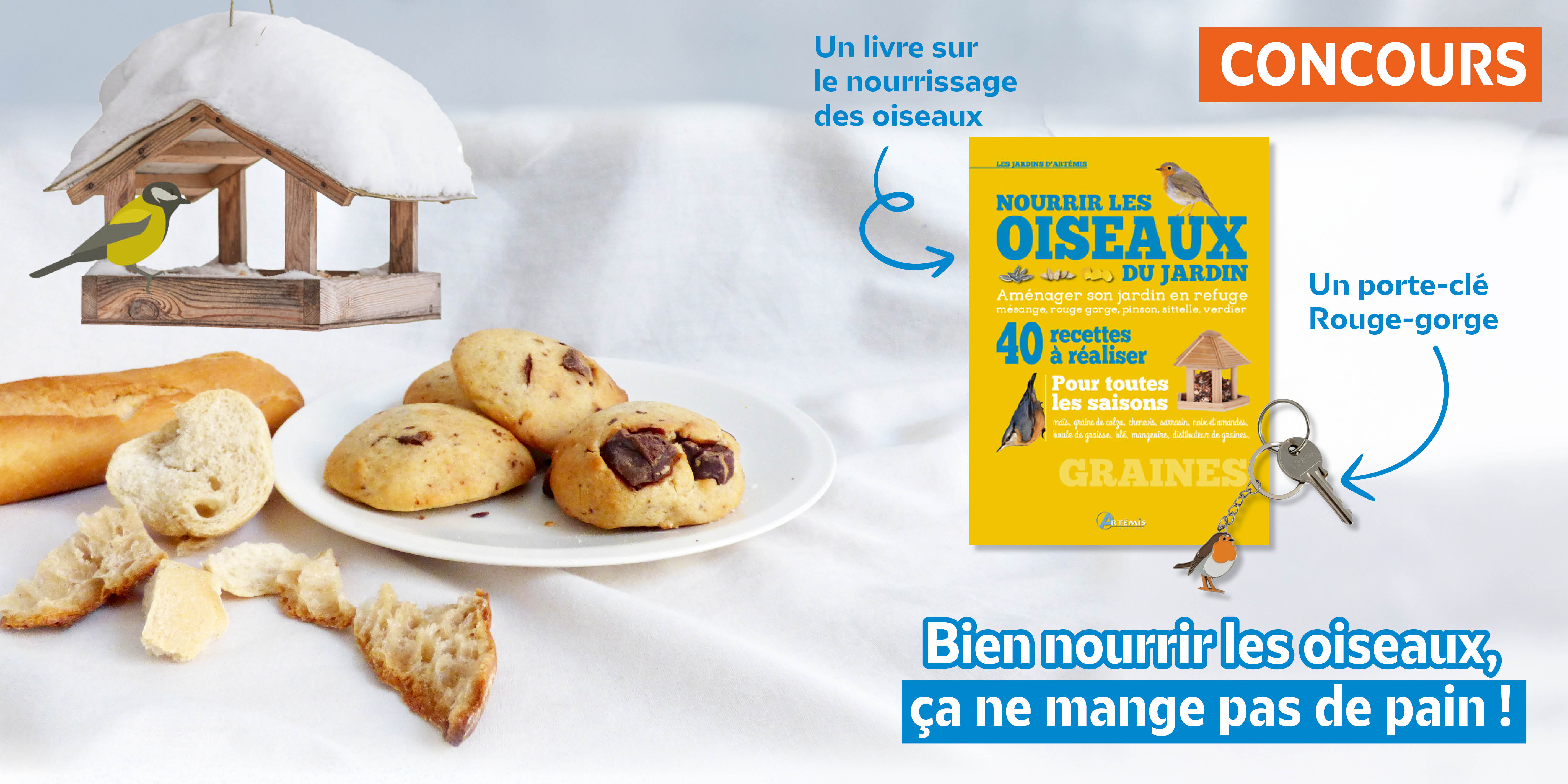 Bien nourrir les oiseaux, ça ne mange pas de pain ! : le concours